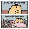 1027407