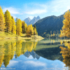 1259801