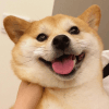 1281591
