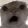 1286605