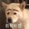 1303045