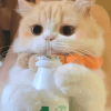 1374680
