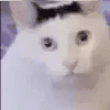 1406414