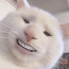 1497053