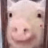 1538971