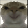 1557580