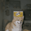 222479