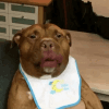 303265