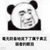 303464