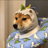 362991