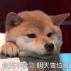 546254