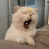 564847
