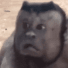 582913