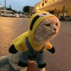 670831