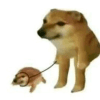 743396