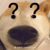 767486
