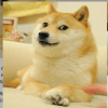 767566