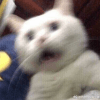 771308