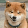 774537