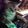 833709