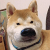 866661