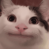 868193