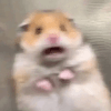 897433