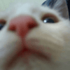 901005