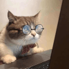 903497